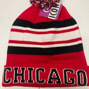 Chicago Icon Pompom Hat